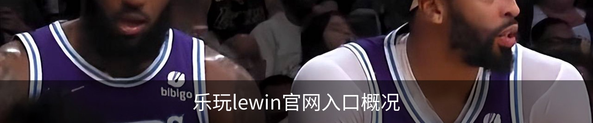 乐玩lewin官网入口概况